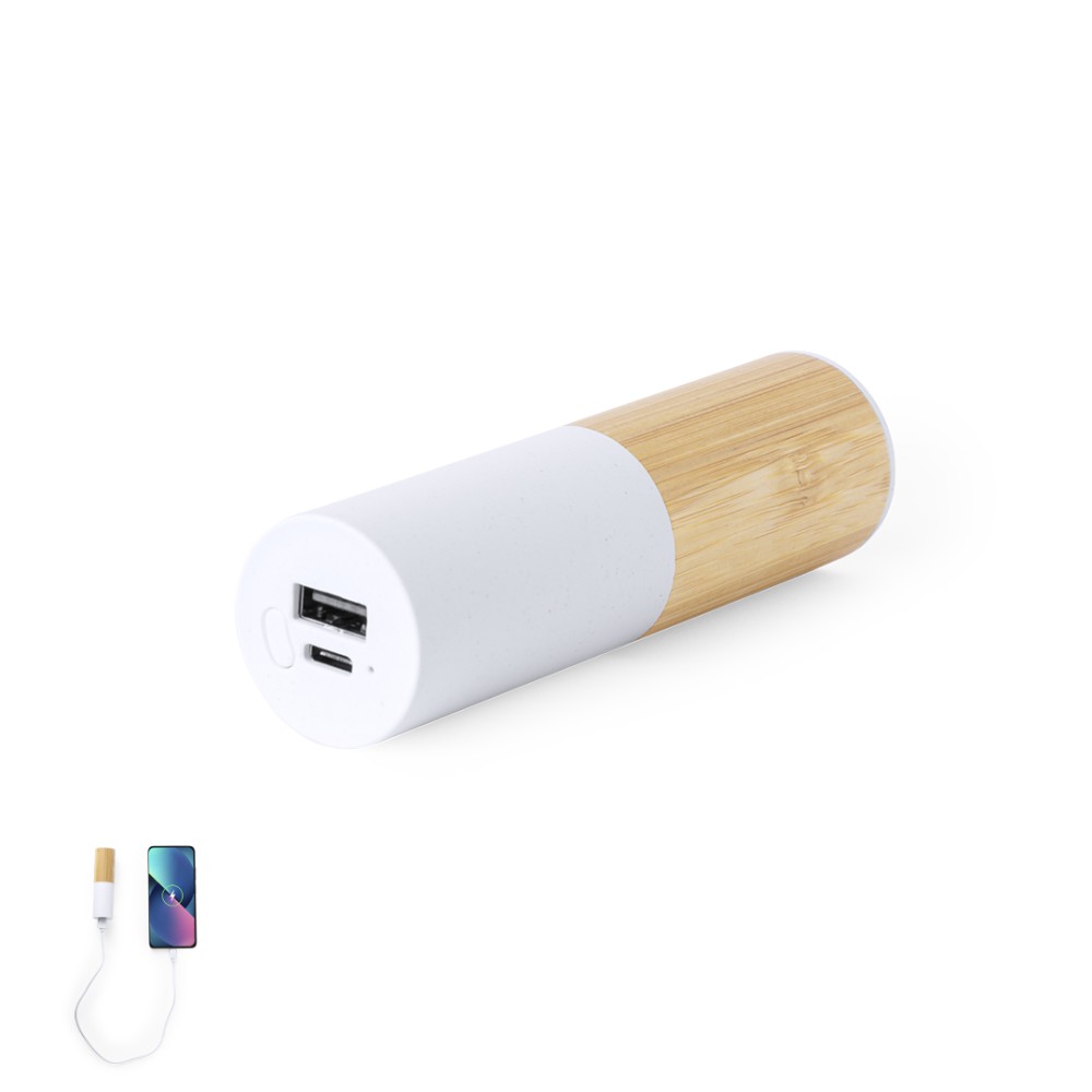 Power Bank Reneh